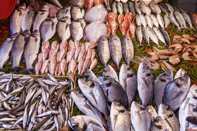 Foto primo piano di frutti di mare assortiti e pesce crudo sul mercato ittico di istanbul turchia