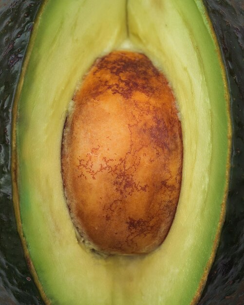 Photo closeup of an avocados seed in its natural vibrant green setting