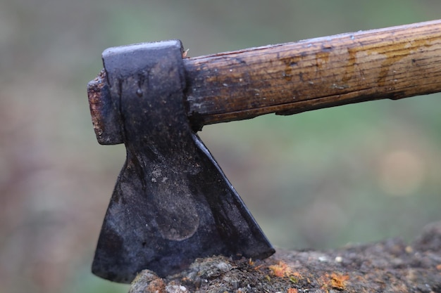 Foto closeup axe head boomstomp