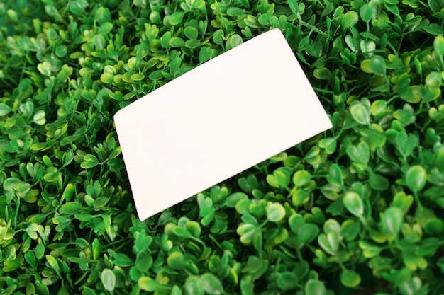 Closeup background of green grass Artificial leaf clover