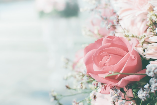 closeup background roses Natural light and pastel colors.