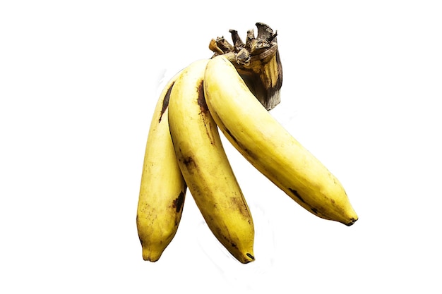 Closeup banana on black wood background Clipping path