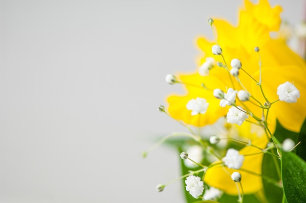 Il primo piano del bel bouquet daffodils respiro del bambino e foglie verdi in un bouquet