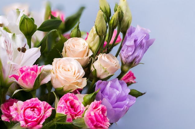 Closeup beautiful flowers in pastel colors