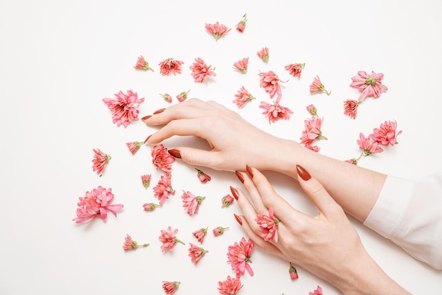 Closeup beautiful sophisticated female hands with pink flowers on white