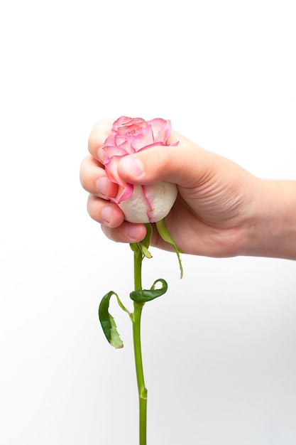 Photo closeup beautiful sophisticated female hands with white flowers