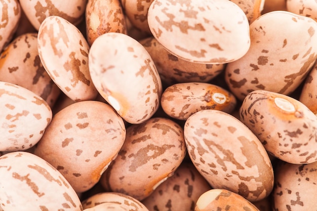 Closeup of Beige Big Beans