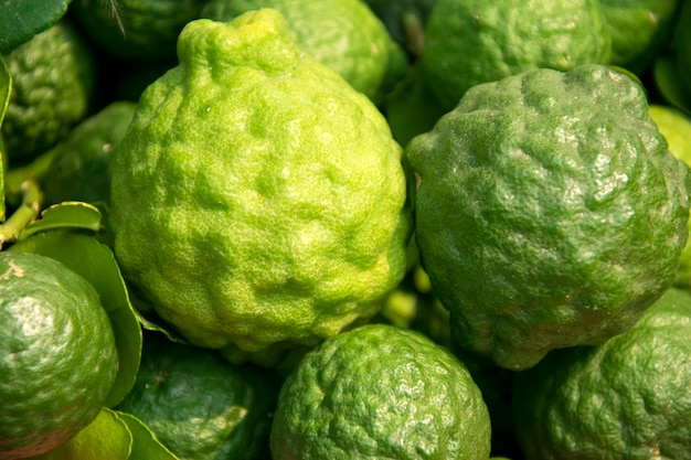 Closeup bergamot texture background