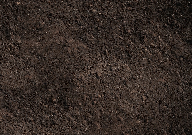 Closeup Black color soil texture