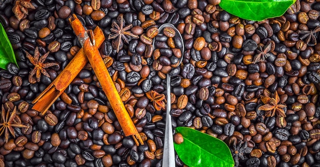 Closeup of Blended roasted coffee beans or dark roasted and medium roasted coffee beansTop view