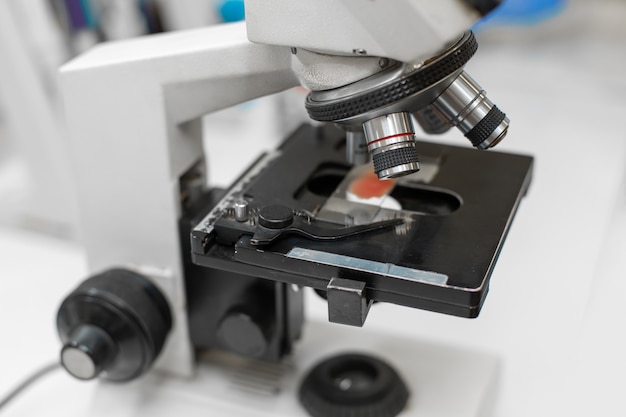 Closeup blood sample on glass in microscope.