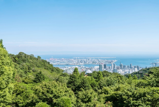 Il cielo blu del primo piano con l'albero verde e la città osservano il fondo con lo spazio della copia