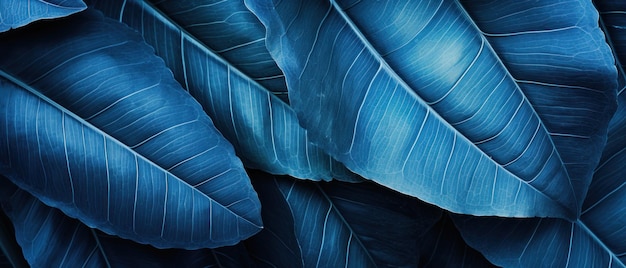 Closeup of bluehued tropical leaves showcasing their detailed textures and vibrant beauty AI Generative