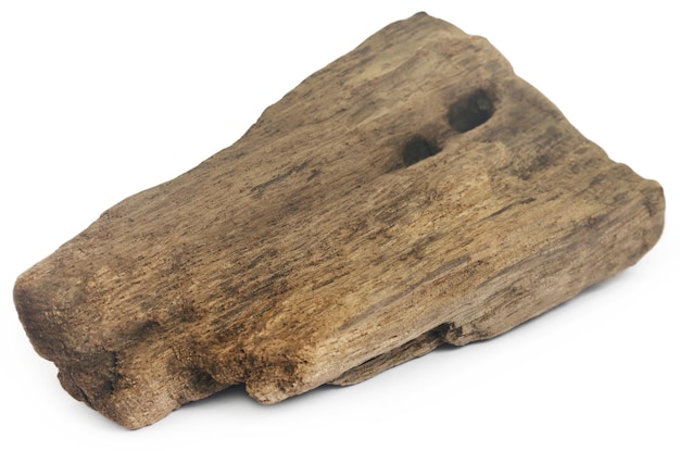 Closeup of bogwood over white background