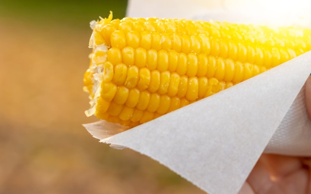 Closeup of boiled ripe corn sprinkled with salt Seasonal street food