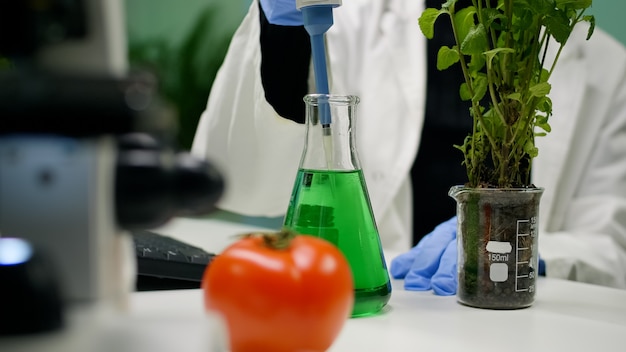 Closeup of botanist reseacher woman taking dna liquid test from medical glass with micropipette putting on sapling analyzing organic growing. Scientist examining agriculture in botanical lab