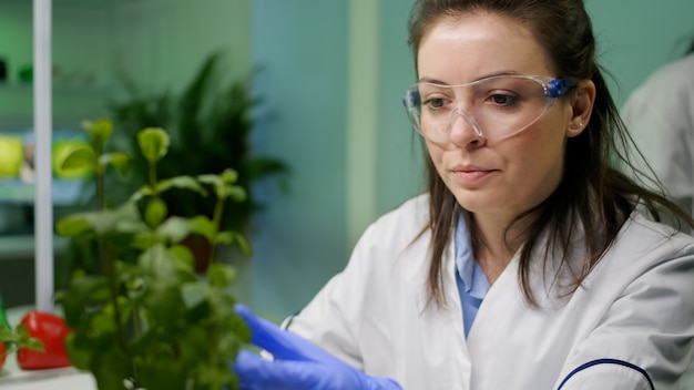 Foto primo piano della donna botanica che controlla l'alberello per l'esperimento agricolo