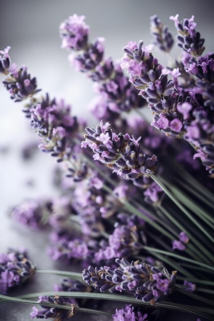 Closeup bouquet of lavender flowers Generative AI