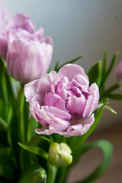 Closeup of a bouquet of pink tulips in a vase on a white background on the marble table happiness