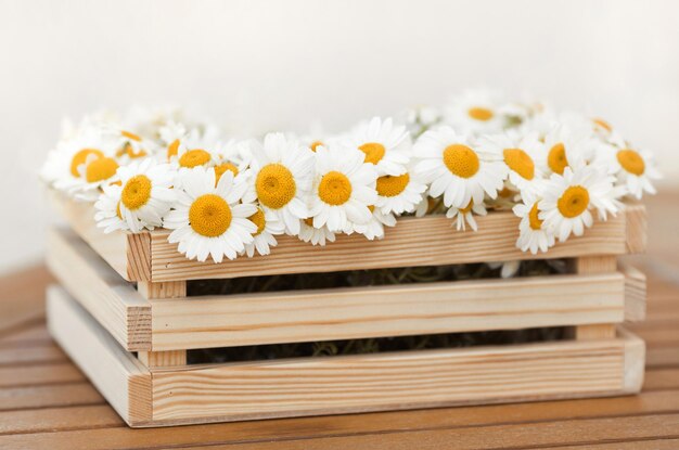 Closeup bouquet of spring flowers in wooden box full of chamomile on the table