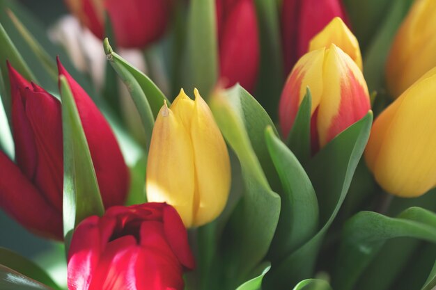 Closeup of a bouquet of tulips