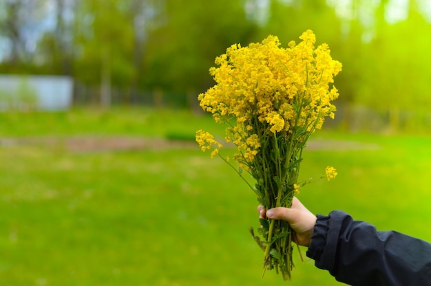 Closeup of a bouquet of wild flowers in the hands of an unknown person of Caucasian origin Summer or spring day