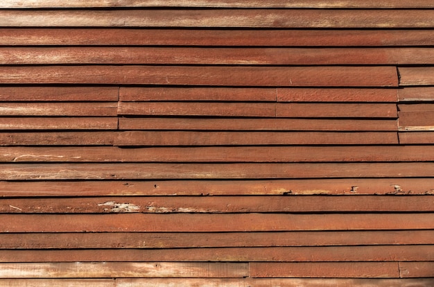 Closeup bright wood texture Old wood surface