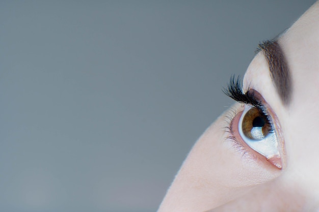 Closeup of brown eye with long false eyelashes ideal skin flawless eyebrow of unrecognizable young woman on grey