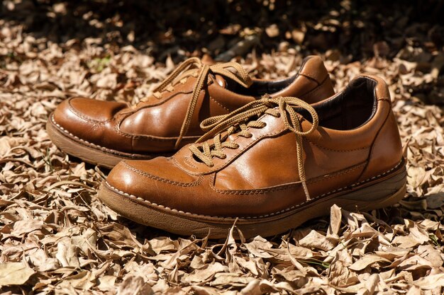 Closeup brown leather fashion shoes in the garden outdoor shoot