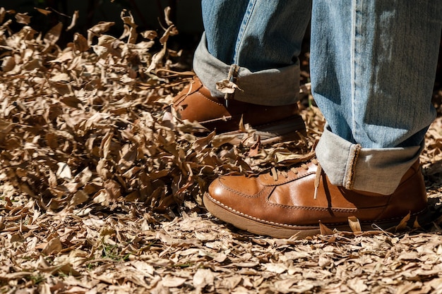 Scarpe di moda in pelle marrone del primo piano nel tiro all'aperto del giardino