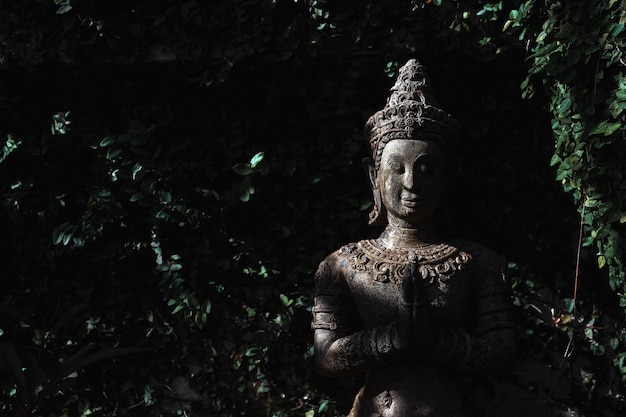 Closeup buddhism for statues or models of the Buddha portrait 