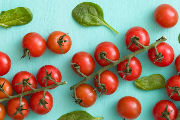 Closeup of bunches of fresh organic tomatoes and basil leaves on turquoise wooden background. healthy food