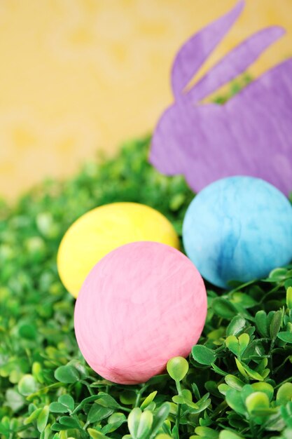 Closeup bunny with colorful Easter eggs on green grass