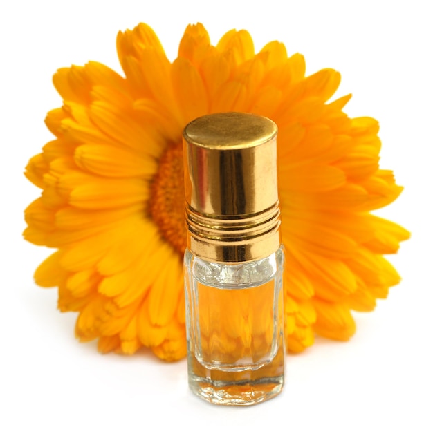 Closeup of calendula with essence bottle over white background