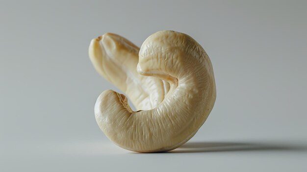 Closeup of cashew nut