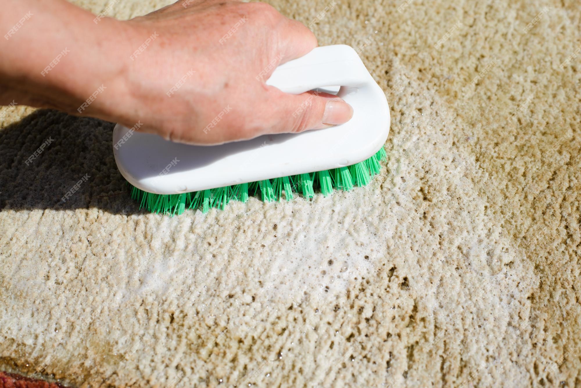 Premium Photo  Carpet cleaning with brush and detergent foam closeup of  womans hand cleaning wet rug home hygiene