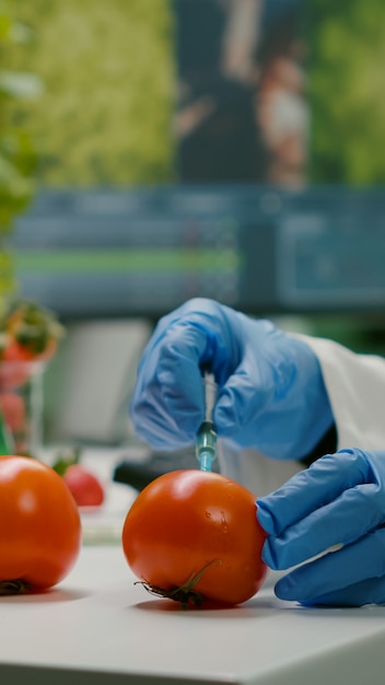 GMO 테스트를 위해 유기농 토마토에 살충제를 주입하는 화학자 과학자의 근접 촬영