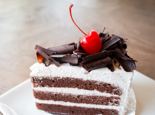 Closeup of chocolate cake 