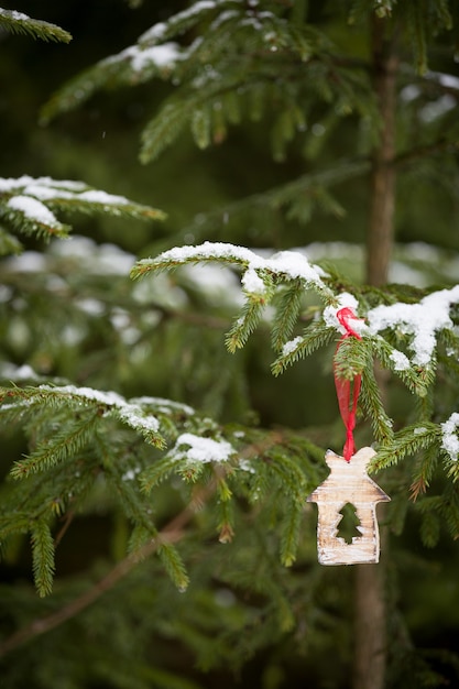 Closeup of a Christmas decoration on a red ribbon on a Evergreen tree outdoors