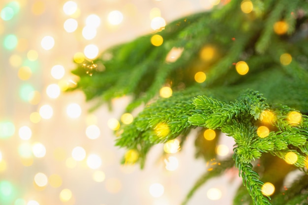 Рождественская елка крупным планом с боке светлом фоне