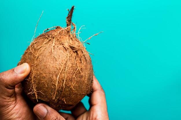 Closeup of coconut on a blue background in a studio at day time