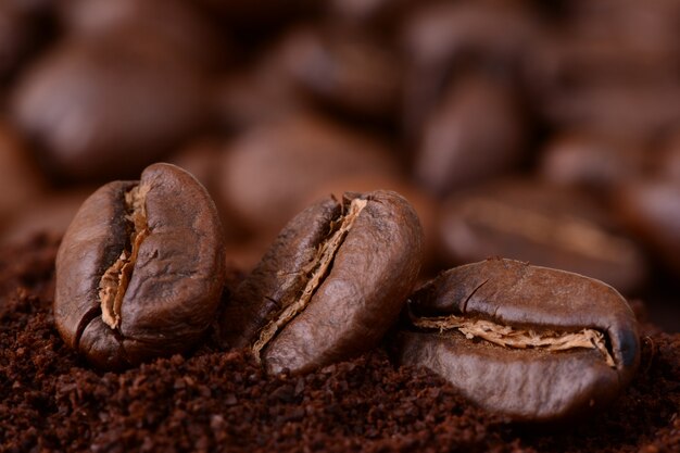 Closeup of coffee beans at roasted coffee heap. Coffee bean on macro ground coffee background. Arabic roasting coffee - ingredient of hot beverage