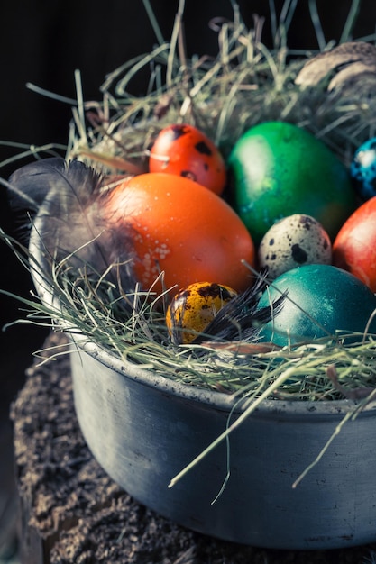 Closeup of colourfull eggs for Easter on hay