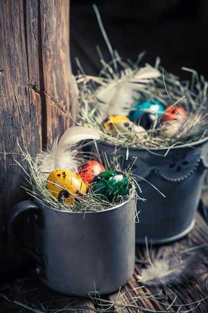건초와 부활절을 위한 다채로운 계란의 근접 촬영