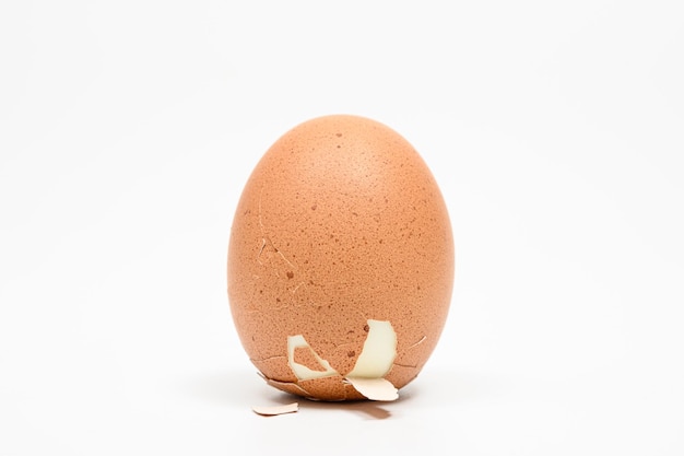 Closeup of a Columbus egg standing on a white background