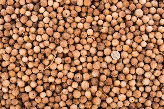 closeup coriander seeds background