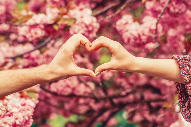 Closeup of couple making heart shape with hands Hands of women and men are the heart the hands