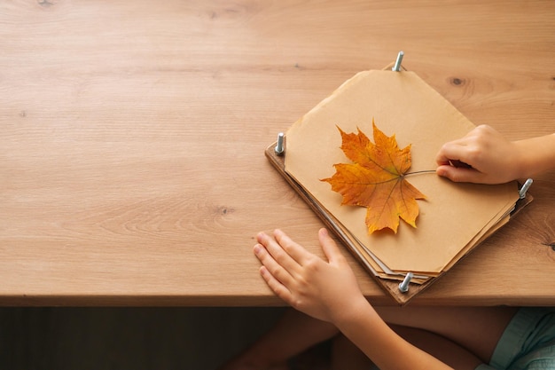 Closeup cropped shot of thinking little child girl holding beautiful dry maple leaf to create herbarium diy at home