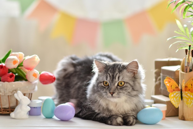 Closeup of a cute gray cat lying on a table next to a tulip