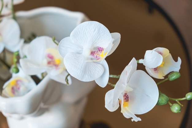 Photo closeup of decorative artificial orchid flowers in a vase interior details of the living room